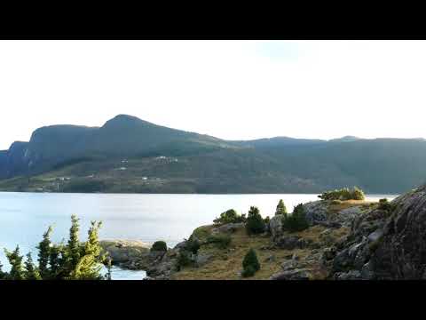 Wahligator Der Ruf des Nordens Trailer