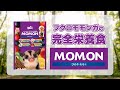 ひかりモモンのYouTubeサムネイル画像
