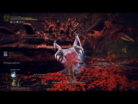 BAYLE VS FROST SAMURAI (ELDIN RING DLC)