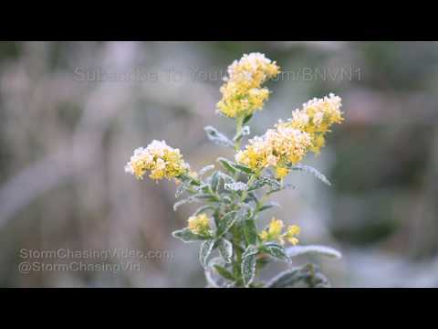 Rice Lake, WI Frosty Morning - 9/29/2018