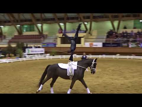 Philipp Stippel freestyle