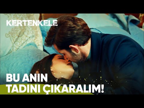 Ziya ve Zehra'nın en romantik anı... - Kertenkele 85. Bölüm