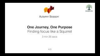 One Journey, One Purpose | Find Focus Like A Squirrel