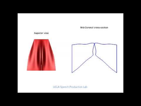 Three-dimensional computational models of phonation