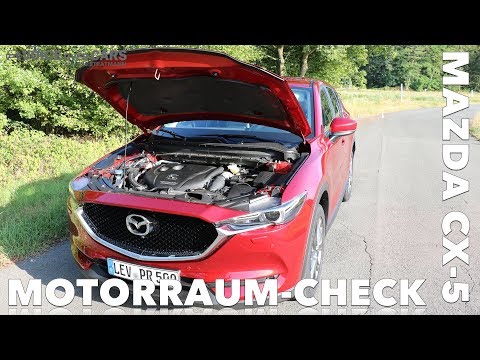 2019 Mazda CX 5 2.2 Diesel 150 PS 110 kW Fakten Motor Leistung Drehmoment Motor Check Verbrauch WLTP