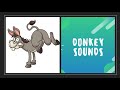 Donkey Sounds For Kids Learn Animal Sounds