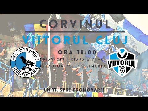 CORVINUL Hunedoara - ACS Academia de Fotbal VIITORUL Cluj-Napoca