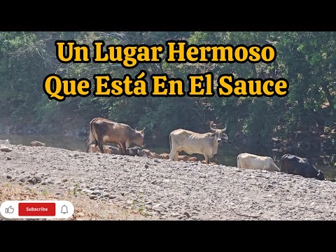 Río El Sauce La Unión El Salvador 