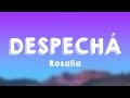DESPECHÁ - Rosalia (Lyrics Video)