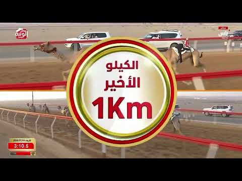 ش 9 (قصايد) لـ حسين سالم بن حسين شعيل الهاجري 4:35:38 ، مهرجان العين 2026/07/08 لقايا الروضة