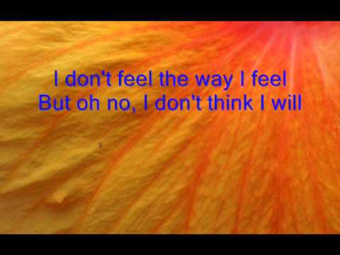 I Dont Think I Will - james bonamy