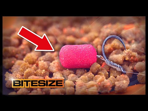 Steve Ringer's Favourite Carp Hookbait! | Guru Bitesize #055