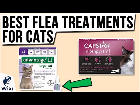 8 Best Flea Treatments for Cats 2021