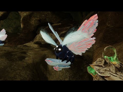 Reports of a unique Lucent Moth in the Temple of the Wrathful