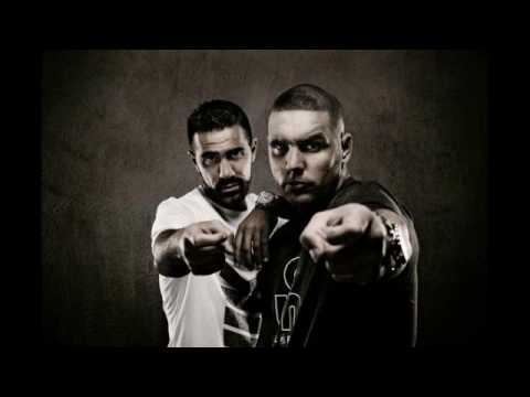 Fler feat. Reason - Halt mich fest (Flersguterjunge)
