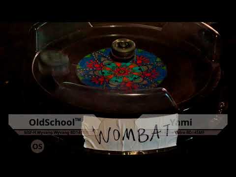 WBO Beyblade Tournament Battle: OldSchool™ vs. Yami - High Park Takeover