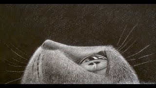 How to Draw Fur - Drawing a Cat´s Eye