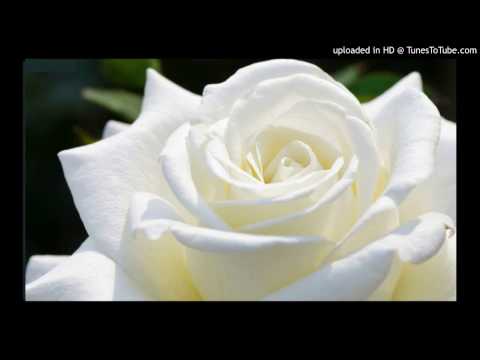 Today's Tango Is... Rosa Blanca - Francisco Canaro 17-07-1930