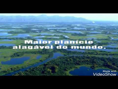 Curiosidades incríveis do Mato Grosso.