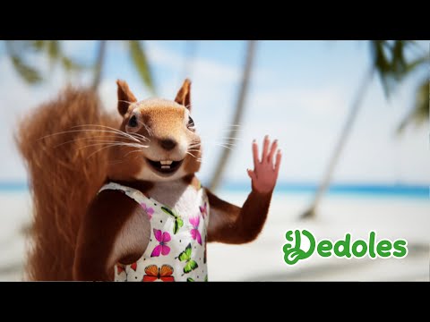 Dedoles.si - Poletna pesem