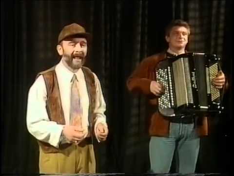 Disa Milovanović - Hajde srećo zagrli me