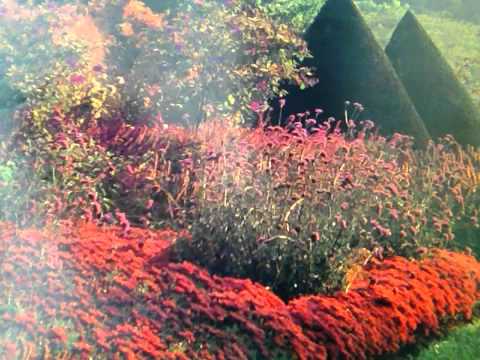 Torah Is Always On My Brain