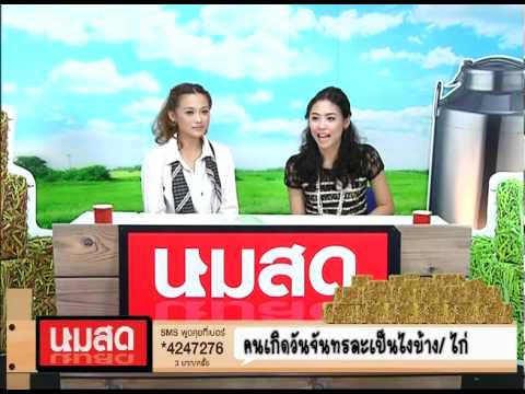 อาหารเพิ่มความแข็งแรงของผู้ชาย ค้อนของ ธ อร์ซื้อ Rostov on Don