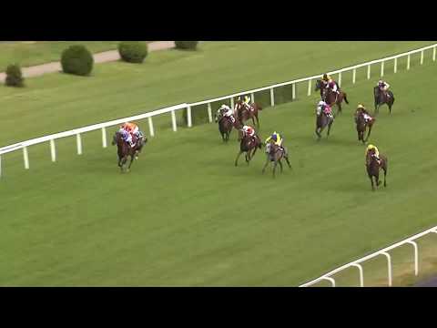 4. dostih - CENA ČESKÉ POJIŠŤOVNY, a.s. - dostihy Velká Chuchle 12. 7. 2019