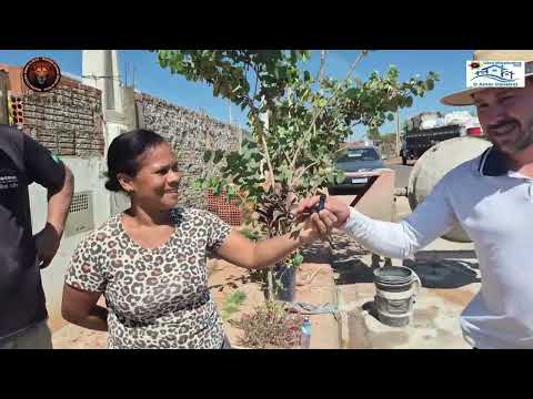 OBRA SOCIAL 2025  " O AMOR CONSTRÓI "