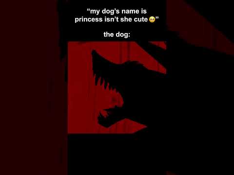 WHAT THE DOG DOING 🐶 | NEW CHAMPION #leagueoflegends #leagueoflegendsmemes #naafiri