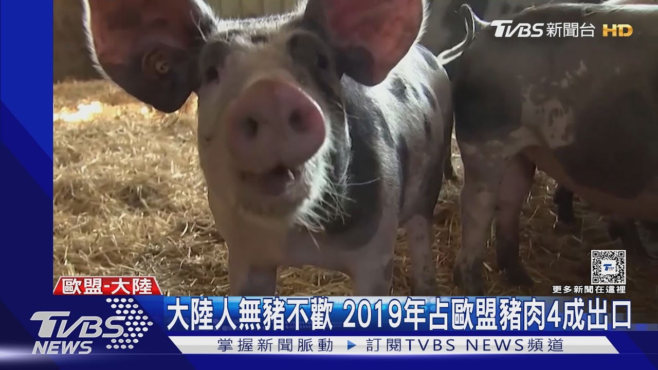 報復電動車加徵關稅! 大陸啟動豬肉低價傾銷調查 歐盟:不擔心