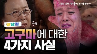 고구마, 당신이 몰랐던 4가지 사실|농담짚