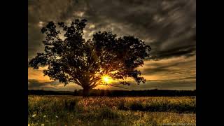 Download lagu Tzanca Uraganu(😞❤️🩹ce vreme rea❤️🩹😞) mp3 Download lagu Tzanca Uraganu(😞❤️🩹ce vreme rea❤️🩹😞) mp3