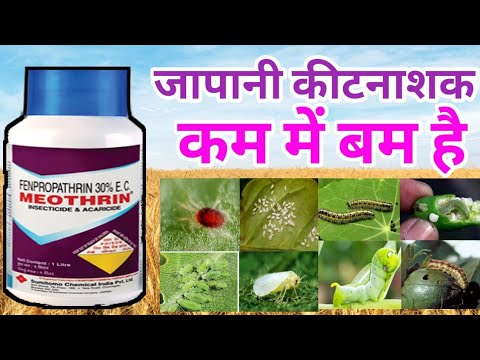 Gibberellic Acid