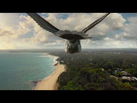 Allianz Care You Can Count On