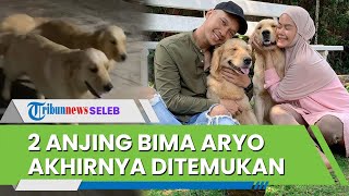 Seusai Diumumkan Hilang & Diduga Dicuri, 2 Anjing Bimo Aryo Berhasil Ditemukan Petugas Kebersihan