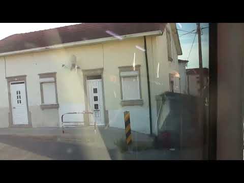 3378 STCP - MAN 18.310 HOCL (A69) caetanobus CityGold CBN070g - Linha / Line 706