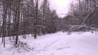 preview picture of video 'Huuhanmetsä DiscGolfPark, Kuopio - 1.2.2015'