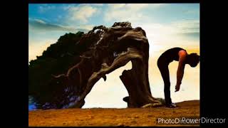 Brian May - China Belle (with lyrics)