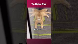 Coi xong lú luôn mà 😵‍💫 #takhongngu