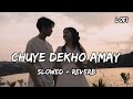 CHUYE DEKHO AMAY SLOWED REVERB LOFI MUSIC