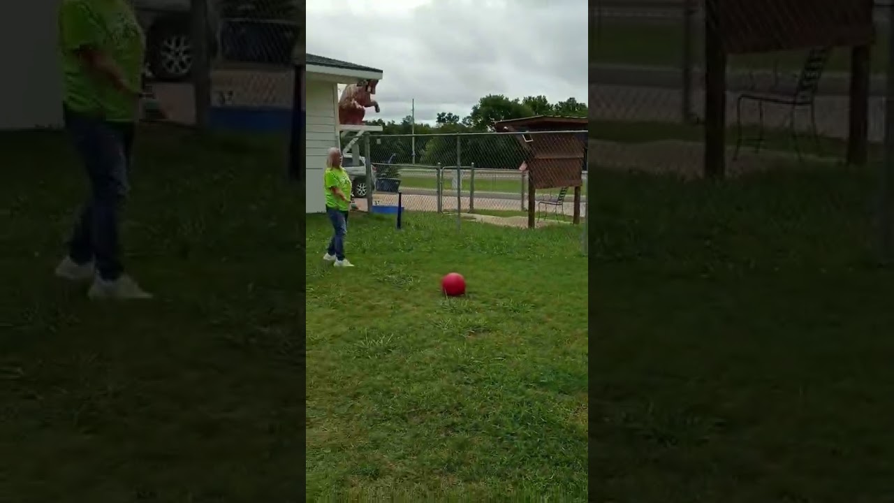Eeyore, a Adoptable Mixed Breed in Denison, TX video 4/4