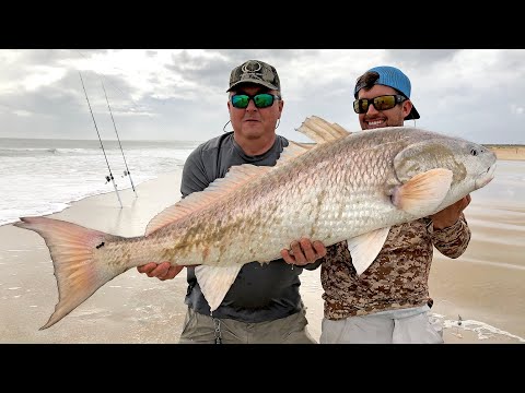 MONSTER Red Drum and Sharks from the Beach