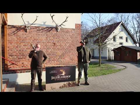 Jägerlehrhof Wendland - Hahn in Ruh