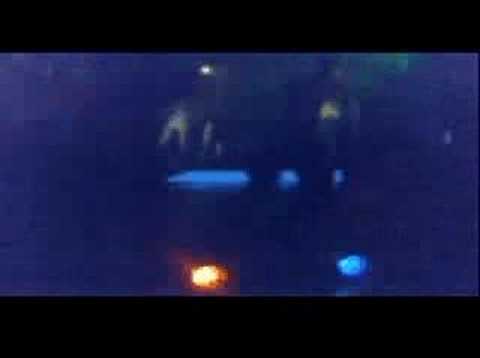 Shazman in Blacklite, Rotterdam