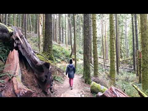 Pratt River Trail | Elizabeth Outdoors