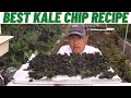 Best Homemade Kale Chip Recipe Fresh from My Garden