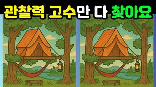 [Brain Booster] Only Observation Masters Find All 3! What Matters Is the Challenge!