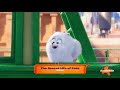 The Secret Life Of Pets Promo June 23 2023 Nickelodeon U S