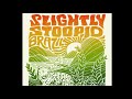 Running With A Gun - Slightly Stoopid